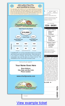 FootballMania example ticket image link