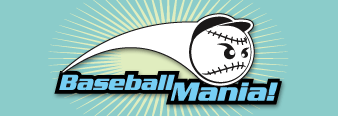 BaseballMania: a unique fundraiser based on the excitement of baseball