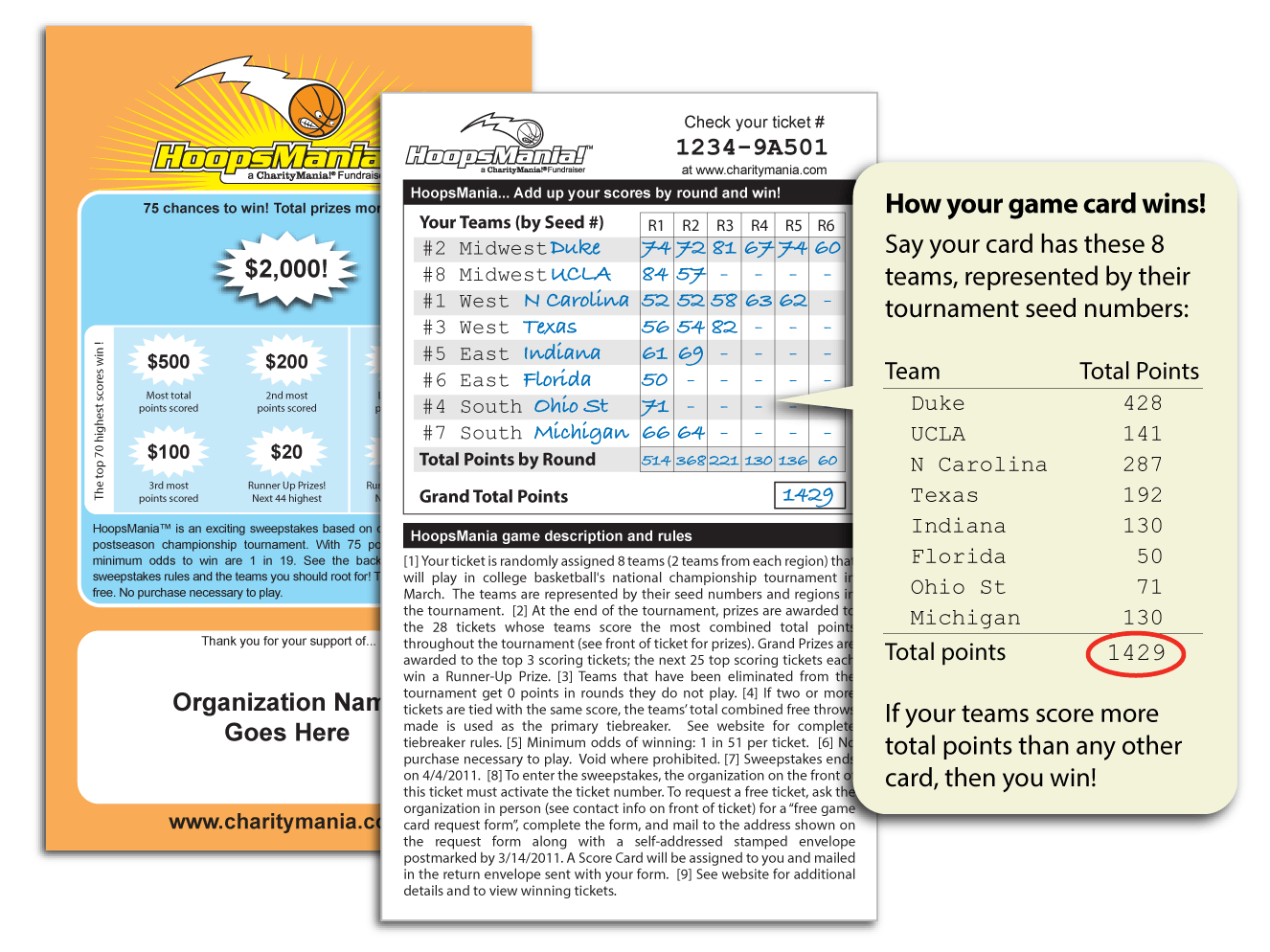 sample HoopsMania ticket